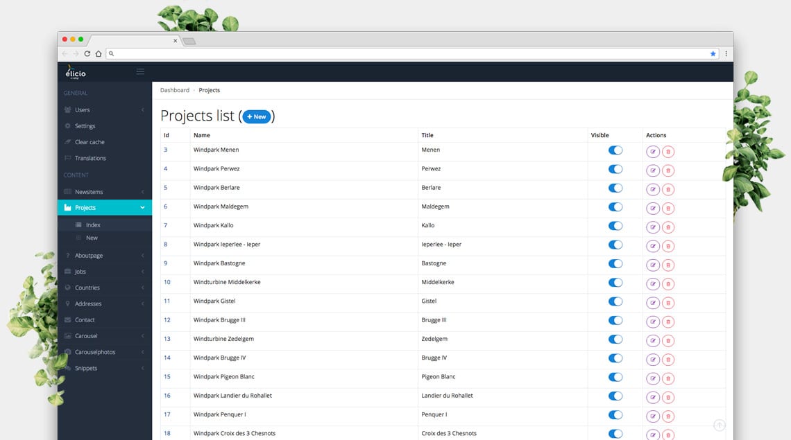 Content Management Systeem Elicio - Project List